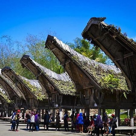 Wisma Papa Tia Toraja Tana Toraja Экстерьер фото