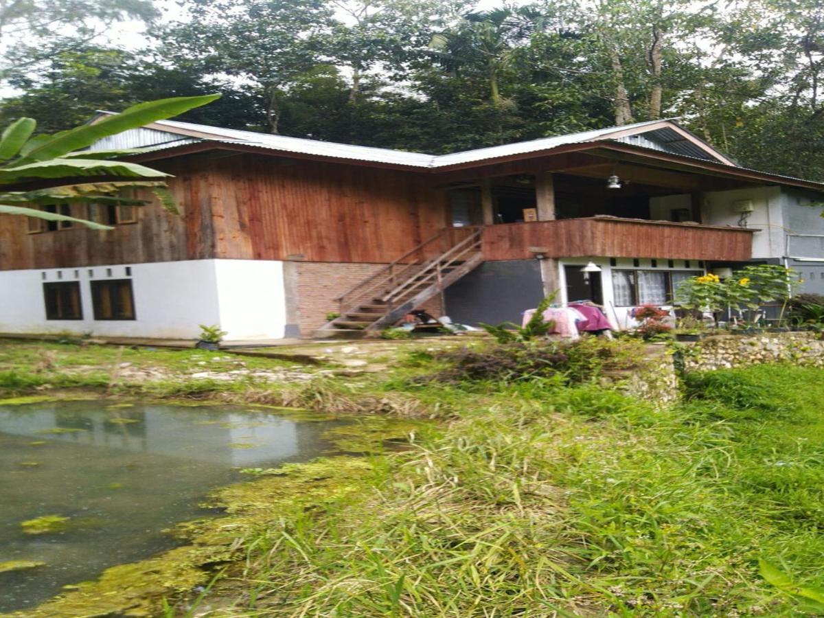 Wisma Papa Tia Toraja Tana Toraja Экстерьер фото